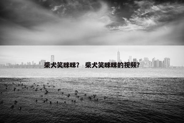 柴犬笑眯眯？ 柴犬笑眯眯的视频？