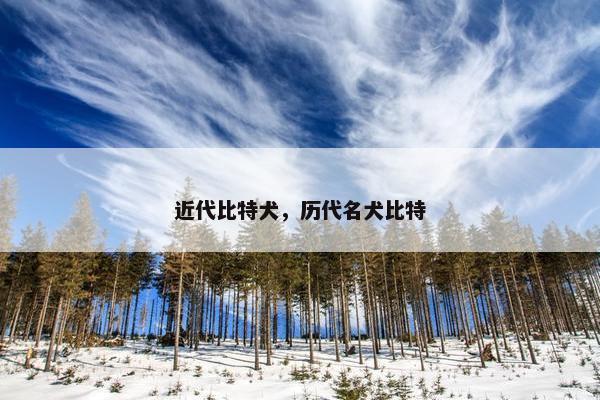 近代比特犬，历代名犬比特