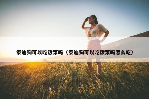 泰迪狗可以吃饭菜吗（泰迪狗可以吃饭菜吗怎么吃）