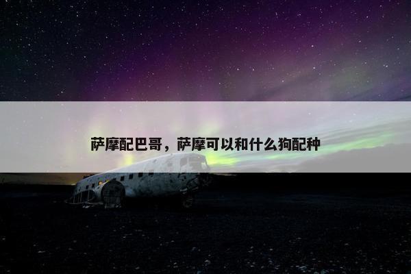 萨摩配巴哥，萨摩可以和什么狗配种