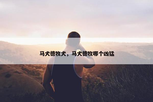 马犬德牧犬，马犬德牧哪个凶猛