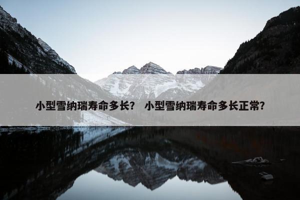 小型雪纳瑞寿命多长？ 小型雪纳瑞寿命多长正常？