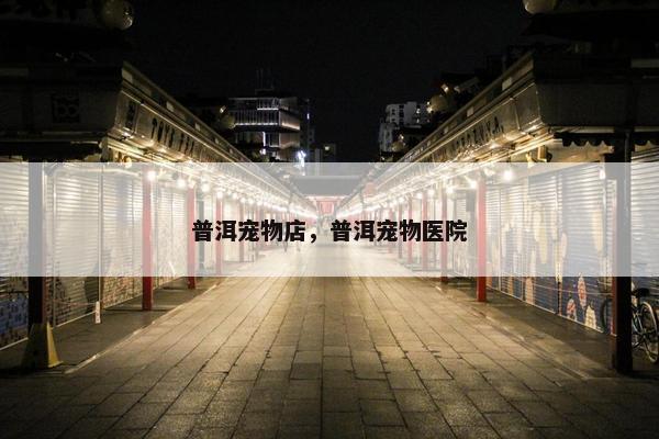 普洱宠物店，普洱宠物医院
