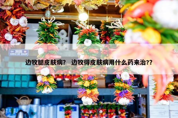 边牧腿皮肤病？ 边牧得皮肤病用什么药来治?？