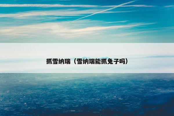 抓雪纳瑞（雪纳瑞能抓兔子吗）