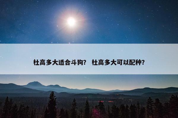 杜高多大适合斗狗？ 杜高多大可以配种？