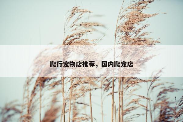 爬行宠物店推荐，国内爬宠店
