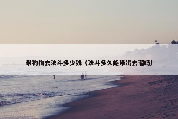带狗狗去法斗多少钱（法斗多久能带出去溜吗）