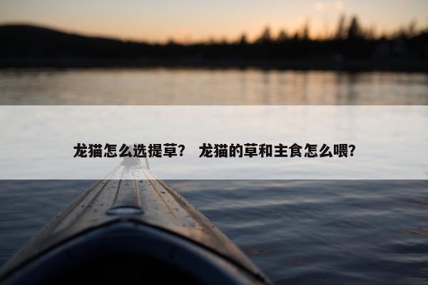 龙猫怎么选提草？ 龙猫的草和主食怎么喂？