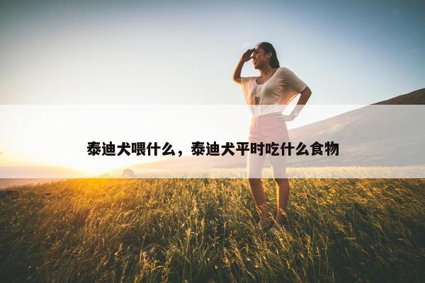 泰迪犬喂什么，泰迪犬平时吃什么食物