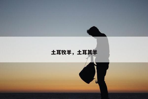 土耳牧羊，土耳其羊