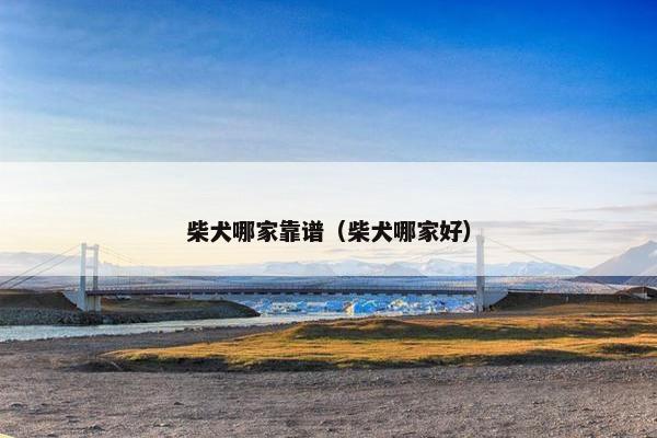 柴犬哪家靠谱（柴犬哪家好）