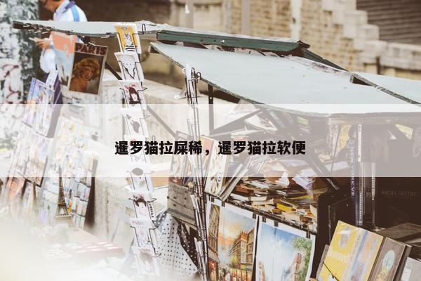 暹罗猫拉屎稀，暹罗猫拉软便