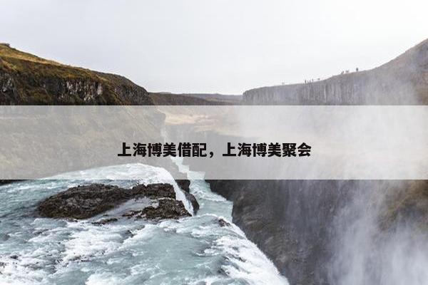 上海博美借配，上海博美聚会