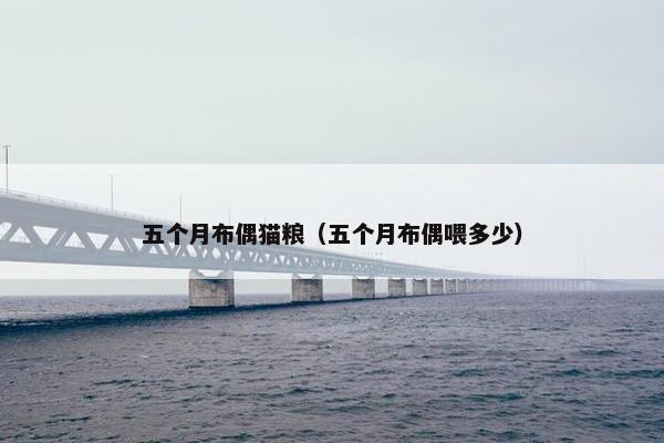 五个月布偶猫粮（五个月布偶喂多少）
