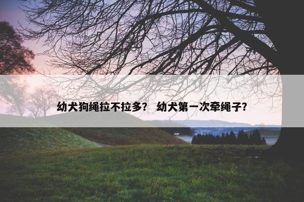 幼犬狗绳拉不拉多？ 幼犬第一次牵绳子？