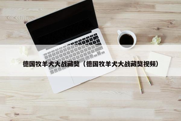 德国牧羊犬大战藏獒（德国牧羊犬大战藏獒视频）
