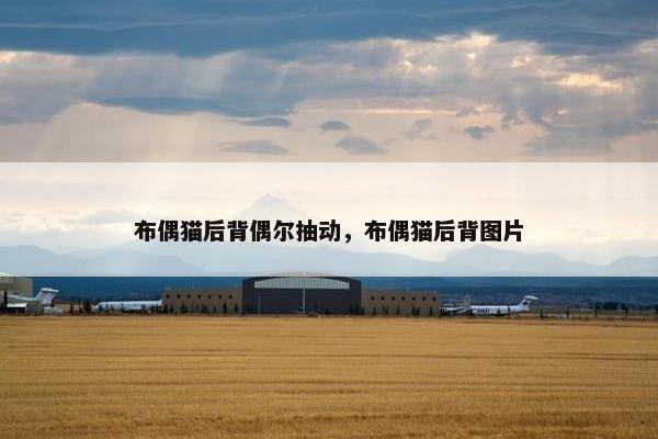 布偶猫后背偶尔抽动，布偶猫后背图片