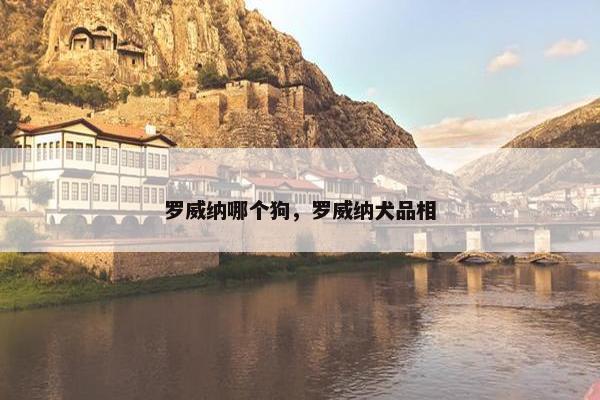 罗威纳哪个狗，罗威纳犬品相