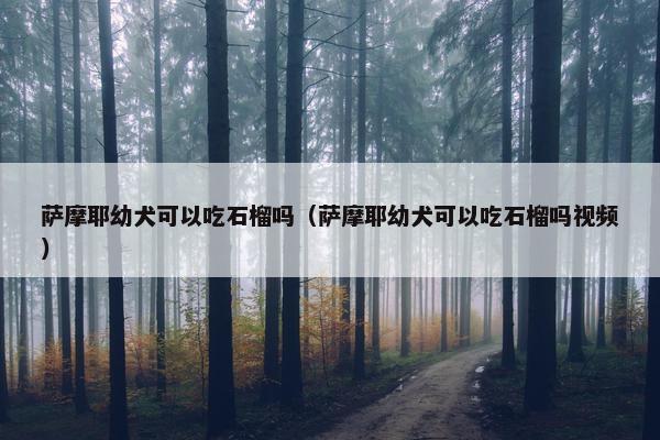 萨摩耶幼犬可以吃石榴吗（萨摩耶幼犬可以吃石榴吗视频）