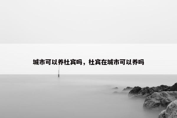 城市可以养杜宾吗，杜宾在城市可以养吗