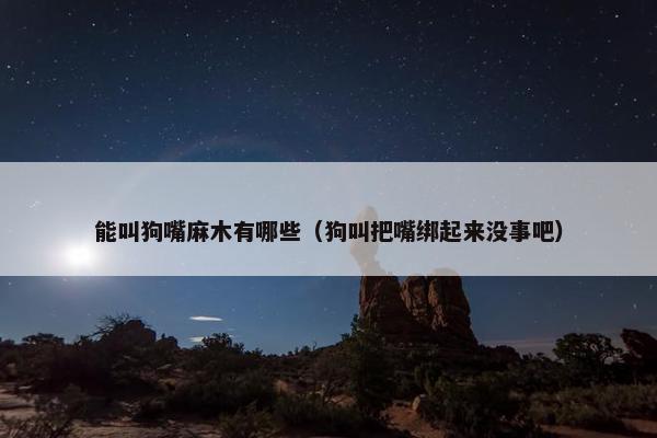 能叫狗嘴麻木有哪些（狗叫把嘴绑起来没事吧）