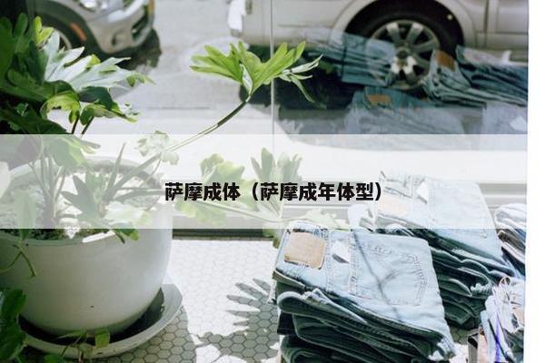 萨摩成体（萨摩成年体型）