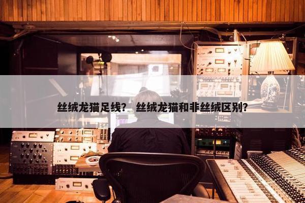 丝绒龙猫足线？ 丝绒龙猫和非丝绒区别？