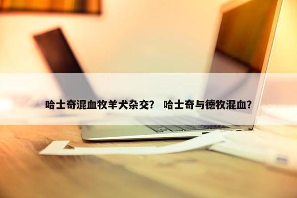 哈士奇混血牧羊犬杂交？ 哈士奇与德牧混血？
