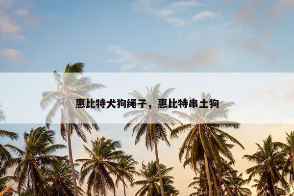 惠比特犬狗绳子，惠比特串土狗
