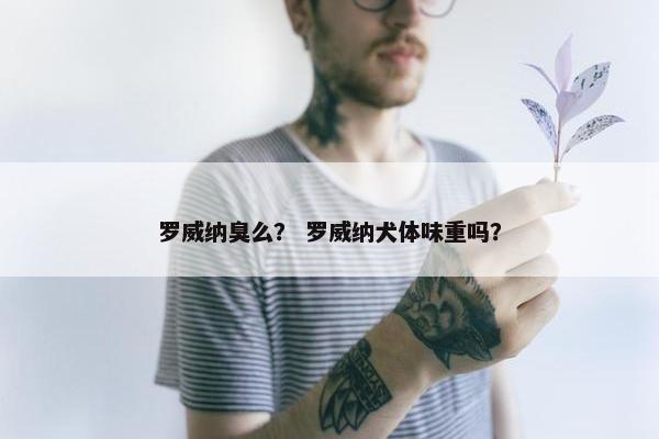 罗威纳臭么？ 罗威纳犬体味重吗？