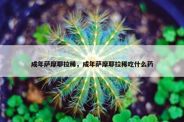成年萨摩耶拉稀，成年萨摩耶拉稀吃什么药