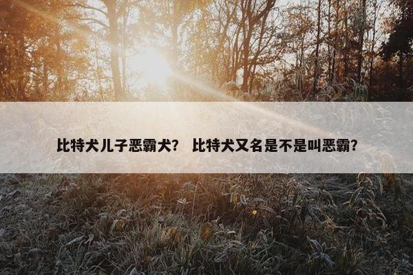 比特犬儿子恶霸犬？ 比特犬又名是不是叫恶霸？
