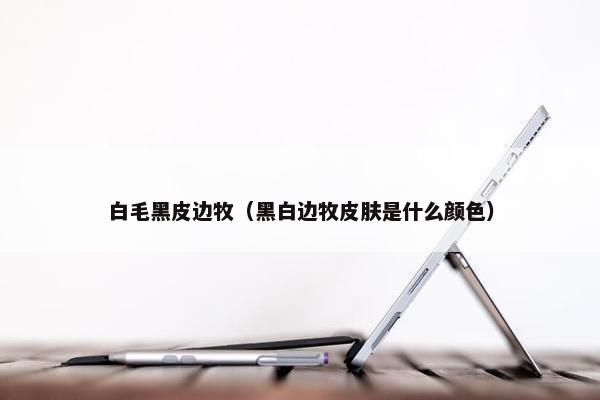 白毛黑皮边牧（黑白边牧皮肤是什么颜色）