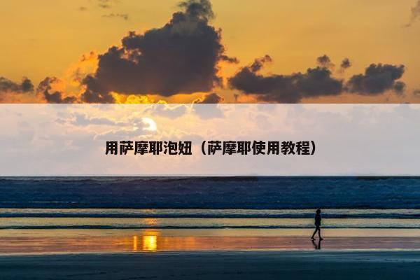 用萨摩耶泡妞（萨摩耶使用教程）