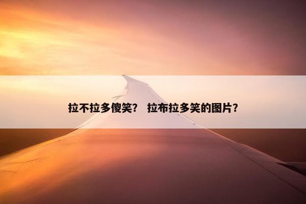 拉不拉多傻笑？ 拉布拉多笑的图片？
