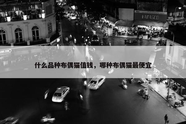 什么品种布偶猫值钱，哪种布偶猫最便宜