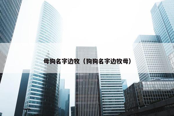 母狗名字边牧（狗狗名字边牧母）