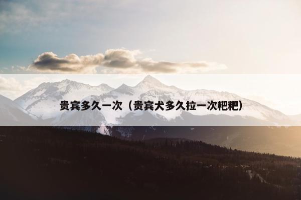 贵宾多久一次（贵宾犬多久拉一次粑粑）