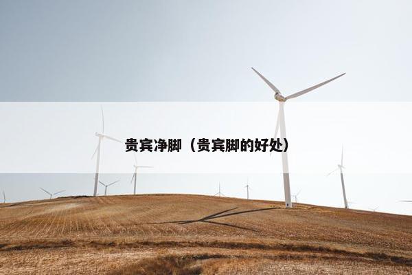 贵宾净脚（贵宾脚的好处）