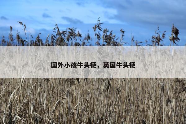 国外小孩牛头梗，英国牛头梗