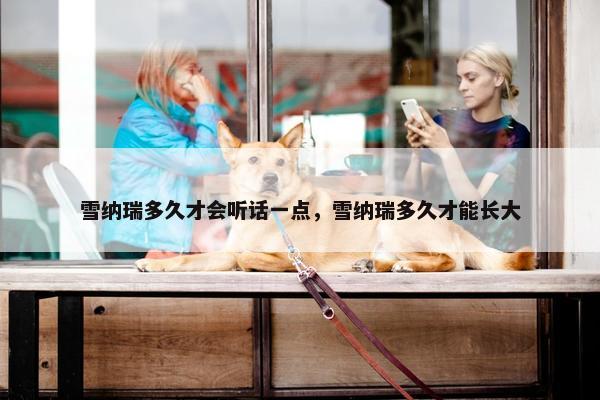 雪纳瑞多久才会听话一点，雪纳瑞多久才能长大