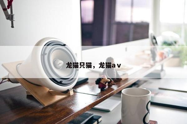 龙猫只猫，龙猫aⅴ