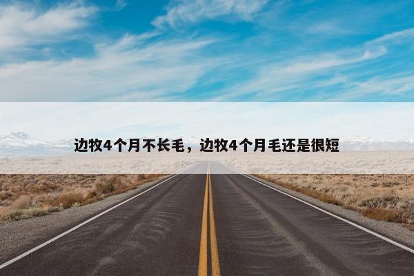边牧4个月不长毛，边牧4个月毛还是很短