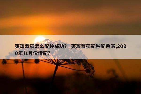 英短蓝猫怎么配种成功？ 英短蓝猫配种配色表,2020年八月份借配？
