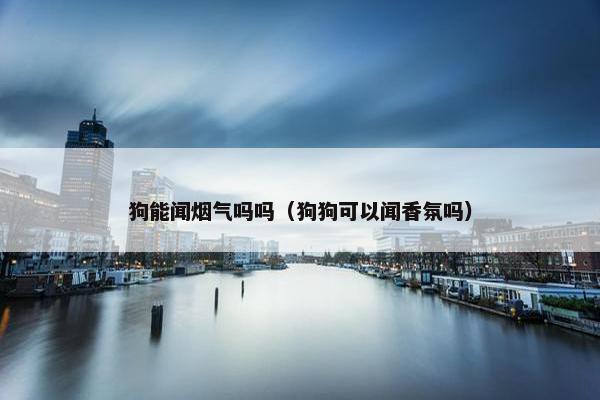 狗能闻烟气吗吗（狗狗可以闻香氛吗）