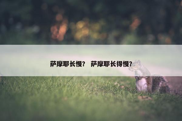 萨摩耶长慢？ 萨摩耶长得慢？