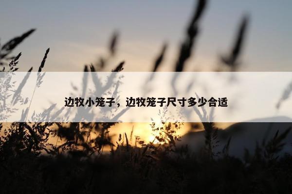 边牧小笼子，边牧笼子尺寸多少合适