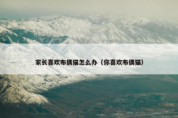 家长喜欢布偶猫怎么办（你喜欢布偶猫）