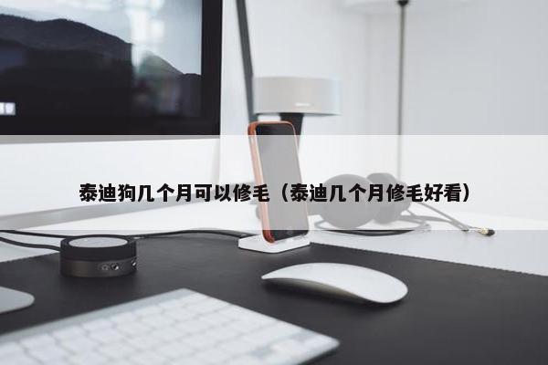 泰迪狗几个月可以修毛（泰迪几个月修毛好看）